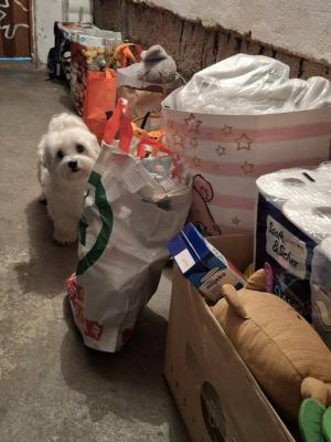 iwk slavonski brod kuca sretnih ciglica 3