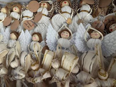 iwk prelog andjeli 10